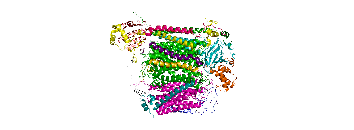 An animated picture of the structure of cytochrome C rotating