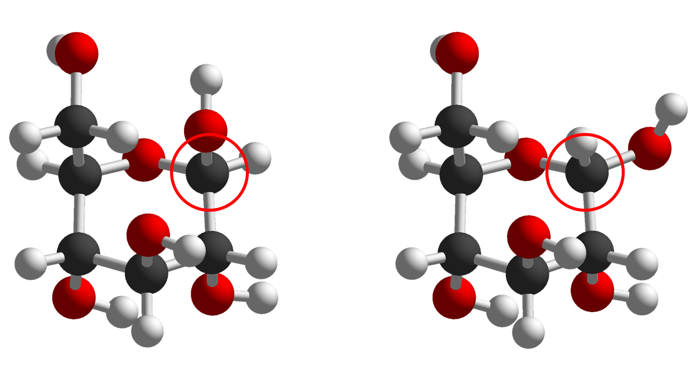 Picture of molecular models of alpha and beta glucose.