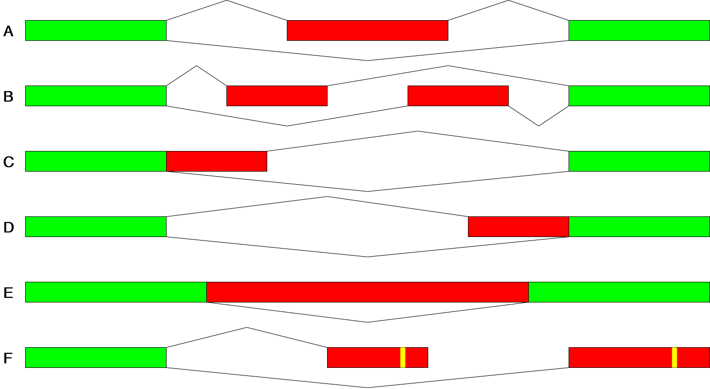 Diagram showing different forms of alternative splicing