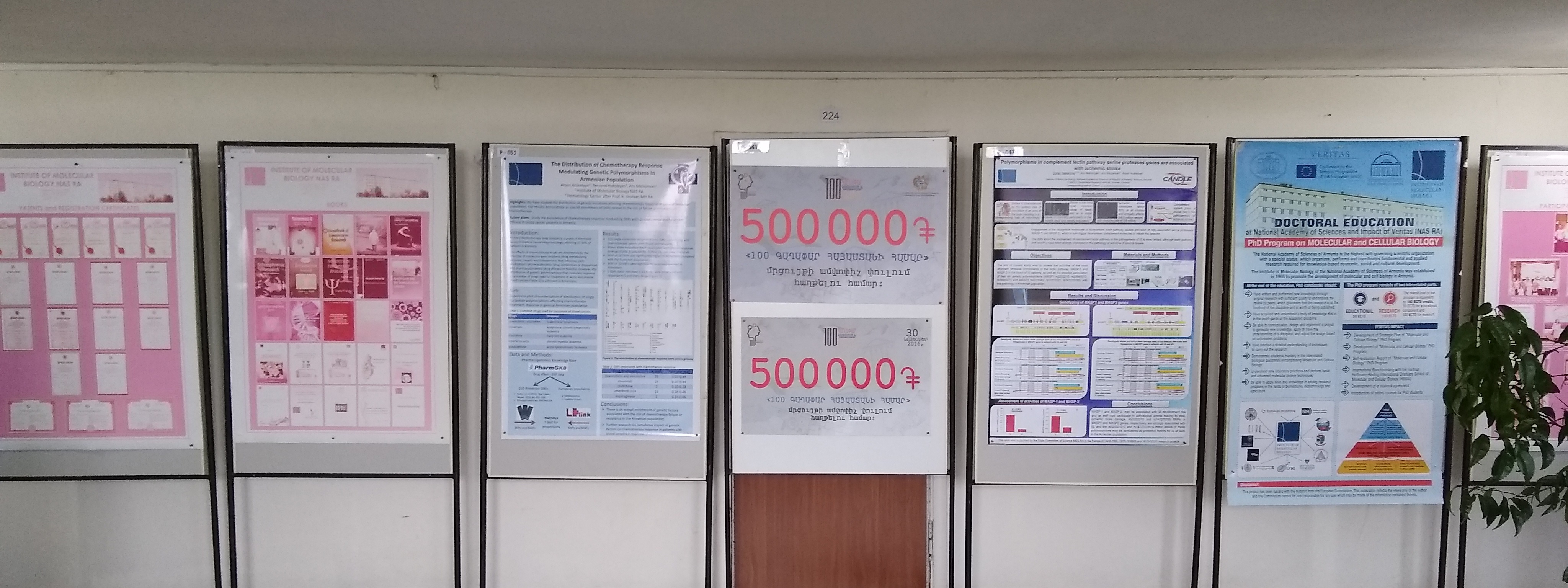 Photograph of posters from scientific conferences