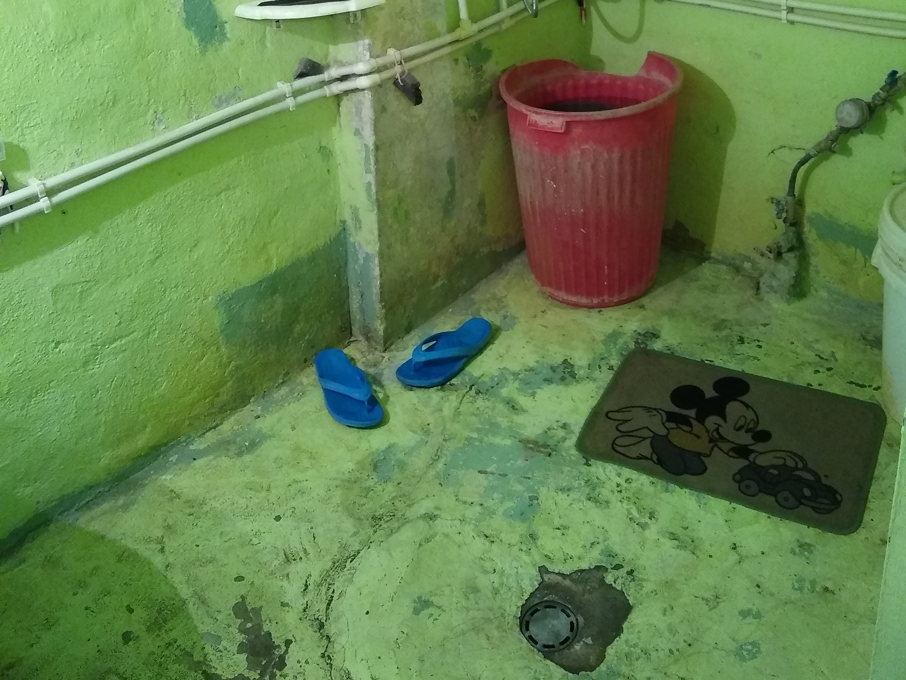 A photo of a shower grain on a yellow-green painted floor, with a yellow-green painted wall in the background, blue flip flops on the ground, a red bucket in the background, and a Mickey Mouse mat on the floor, some of the paint is peeling.