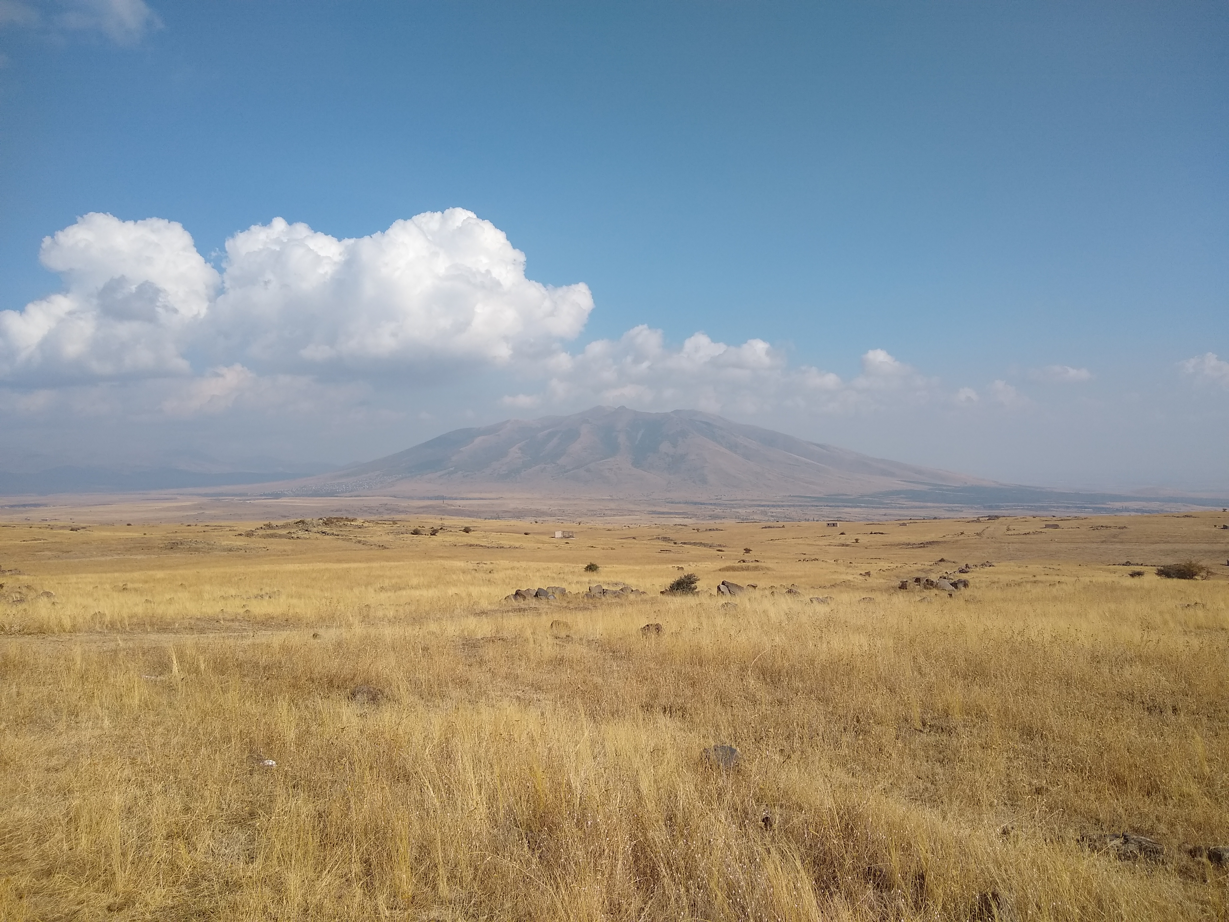 Photo of countryside with a mountain in the background and long yellow-green grass in the foreground