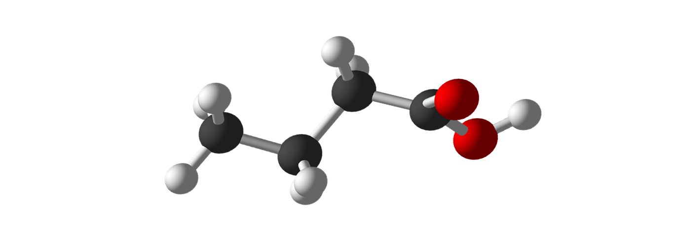 Picture of a molecular model of butyric acid.