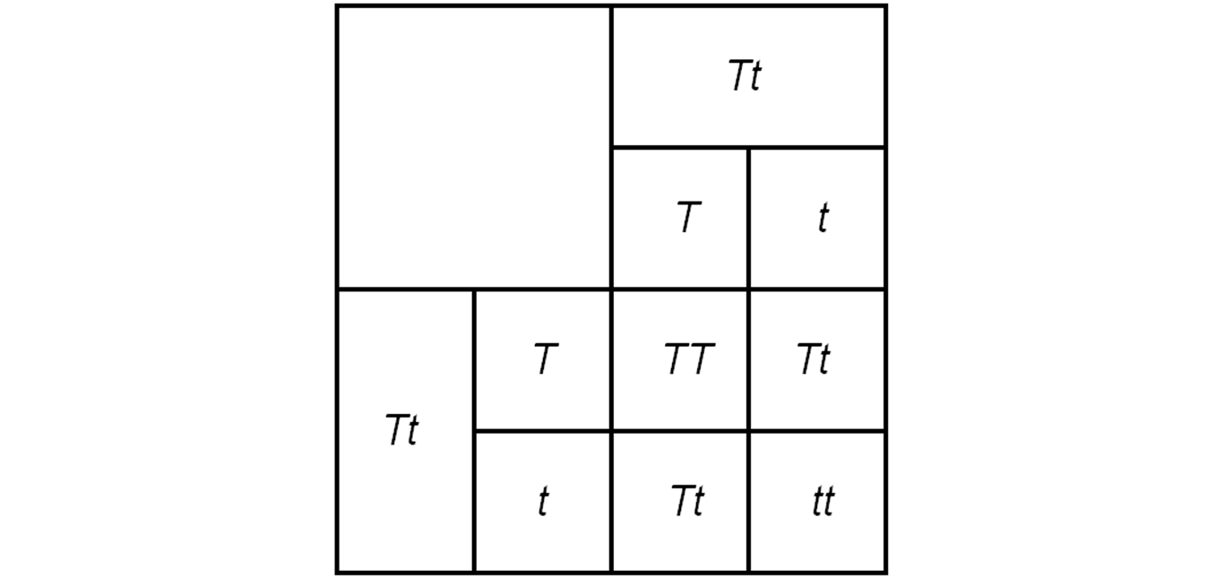 Diagram of a punnet square showing a cross between heterozygous parents