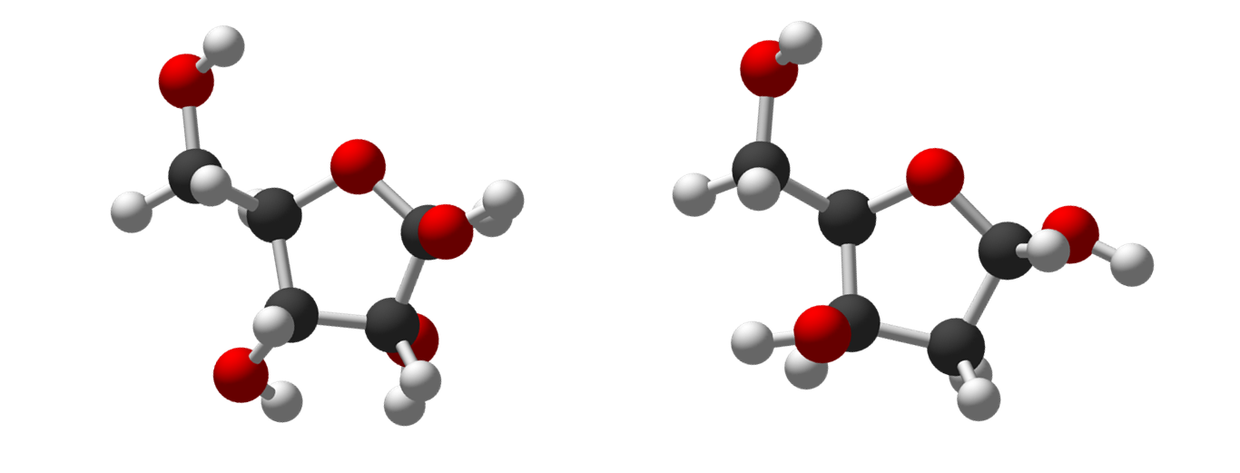 Picture of the molecular structure of the pentose sugars ribose and deoxyribose
