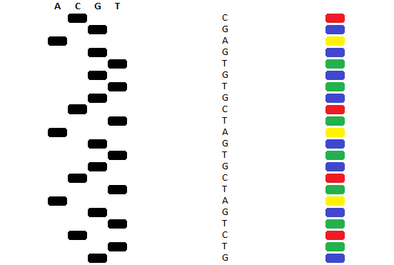 sanger-sequencing.png
