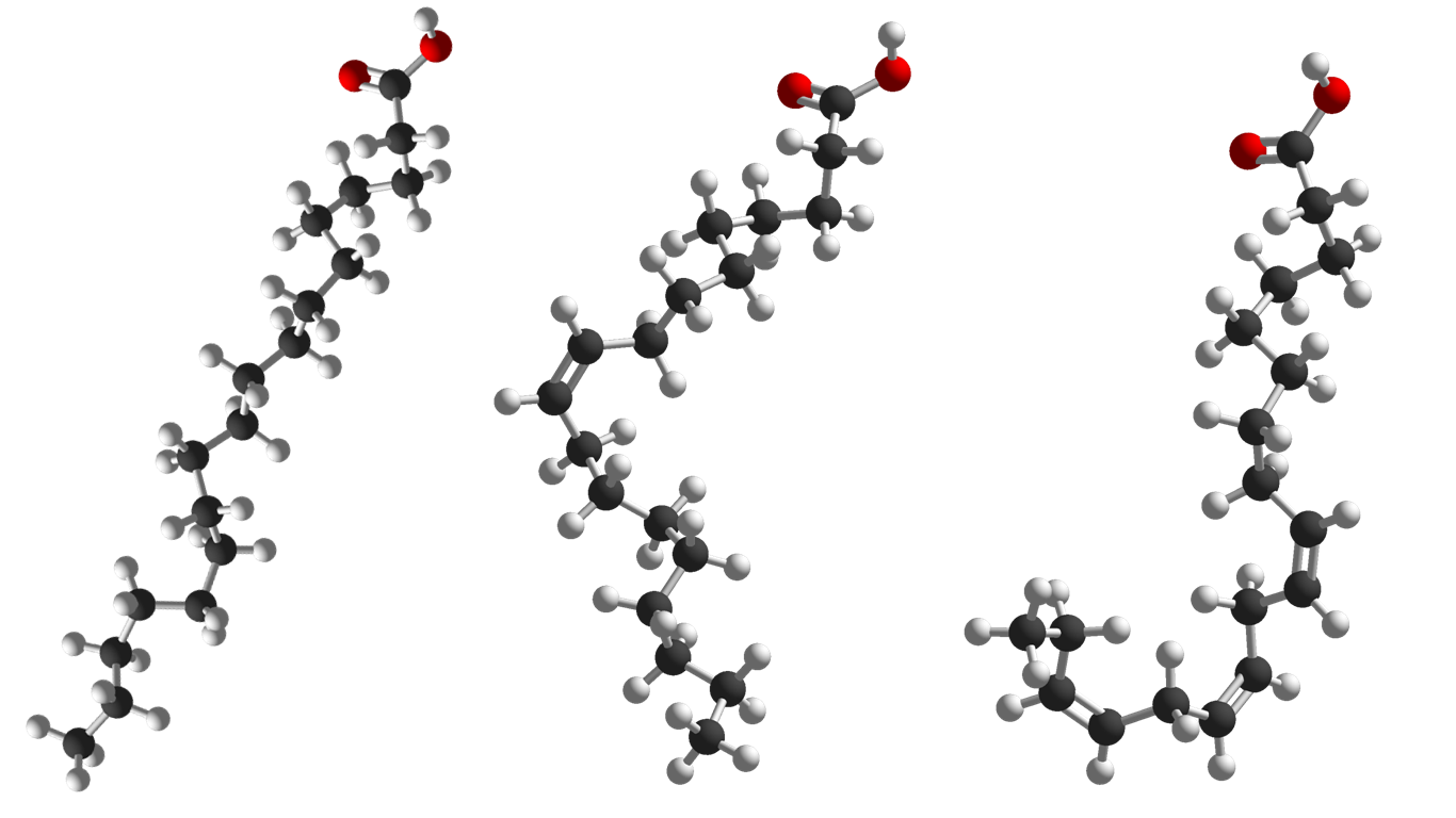 Picture of molecular models of stearic, oleic acid and &alpha;-linolenic acid.