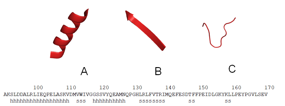 Diagram of alpha-helix, beta-sheets and loops